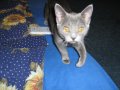 IMG_0013.JPG